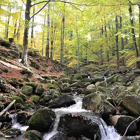 Lägenhet Jizerke Hory Solcuv Rybnik